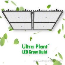 365nm Dimmable Full Spectrum Commercial Grow Light